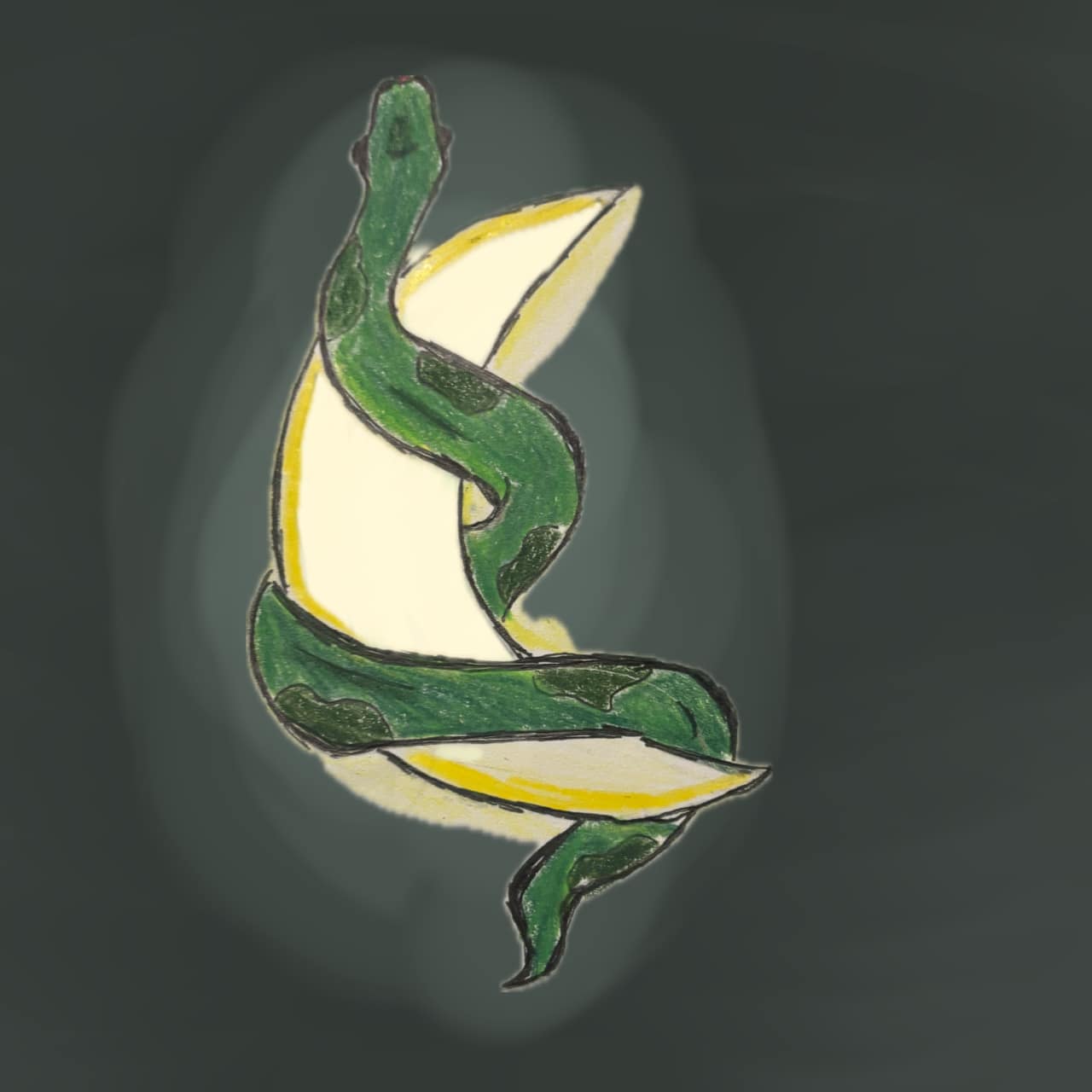 Serpent Moon Design